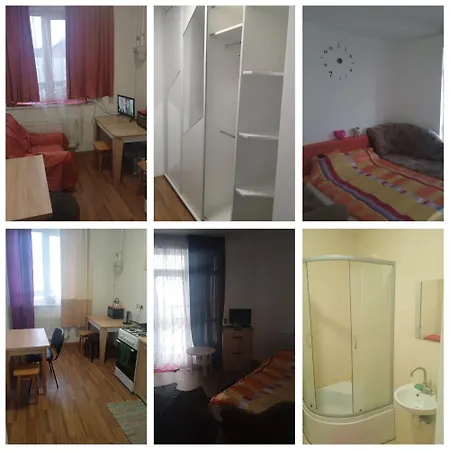 горішній пасічна зелена вулецька завод іскра біля лісу *