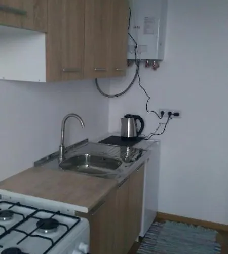 горішній пасічна зелена вулецька завод іскра біля лісу