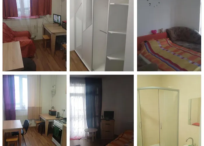 горішній пасічна зелена вулецька завод іскра біля лісу *